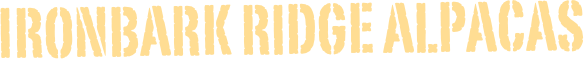 IRONBARK RIDGE ALPACAS
